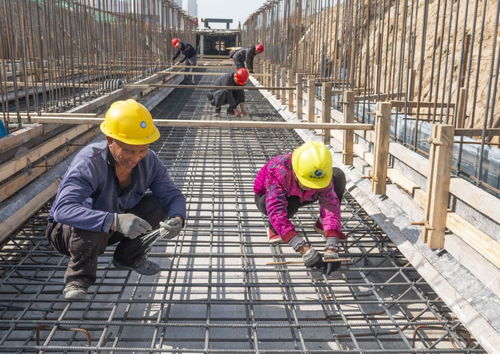 市区大禹街道路工程有序推进预计今年年底前主车道建成通车